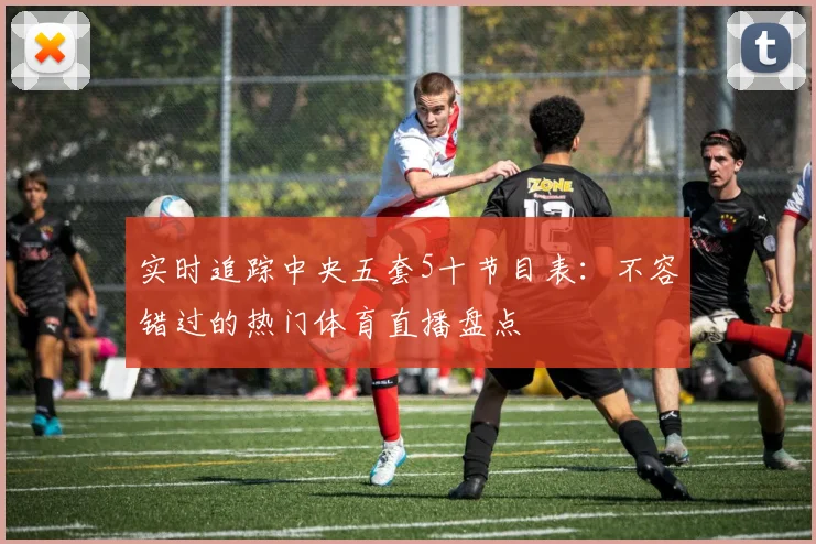 实时追踪中央五套5十节目表：不容错过的热门体育直播盘点